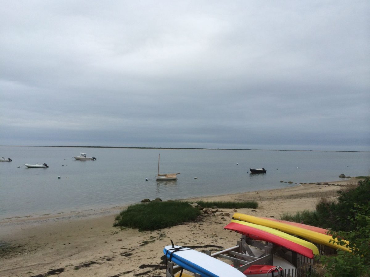 Kayaks pulled up on a quiet harbor beach